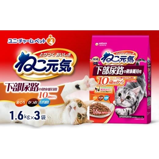 ふるさと納税 雑貨・日用品 兵庫県 伊丹市 ねこ元気 下部尿路の健康維持用 10歳頃から まぐろ・かつお・白身魚入り 1.6kg×3袋 ペットフード キャットフード …