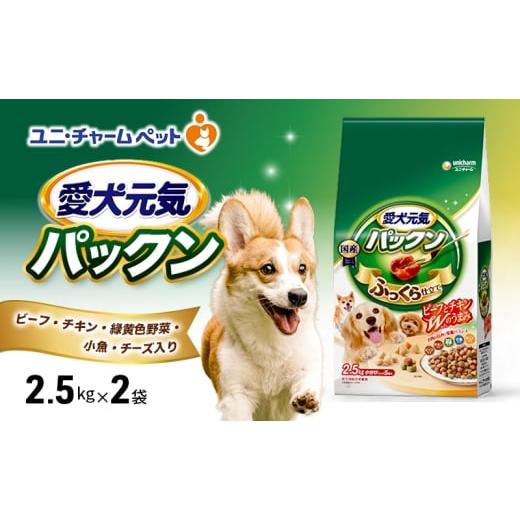 ふるさと納税 雑貨・日用品 兵庫県 伊丹市 愛犬元気パックン ビーフ・チキン・緑黄色野菜・小魚・チーズ入り 2.5kg×2袋 ペットフード ドッグフード 犬のごは…