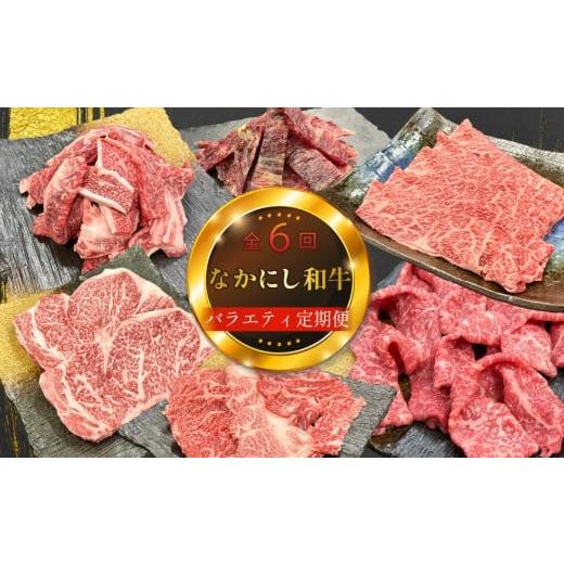 ふるさと納税 牛肉 ステーキ 宮崎県 小林市 定期便 全6回 宮崎県西ノ原牧場・なかにし和牛バラエティ定期便(牛肉 黒毛和牛 すき焼き しゃぶしゃぶ 焼肉 赤身…