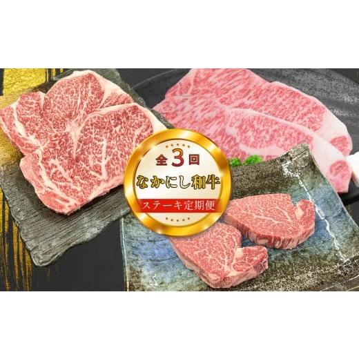 ふるさと納税 牛肉 ステーキ 宮崎県 小林市 定期便 全3回 宮崎県西ノ原牧場・なかにし和牛ステーキ定期便(牛肉 黒毛和牛 お肉 ステーキ サーロイン ヒレ 定…