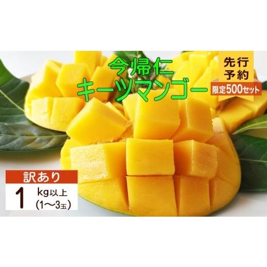 ふるさと納税 マンゴー 沖縄県 今帰仁村 訳あり 限定500セット 生産者応援 緑のキーツマンゴー1kg以上(白箱) 2026年8月〜9月頃発送 生産者応援