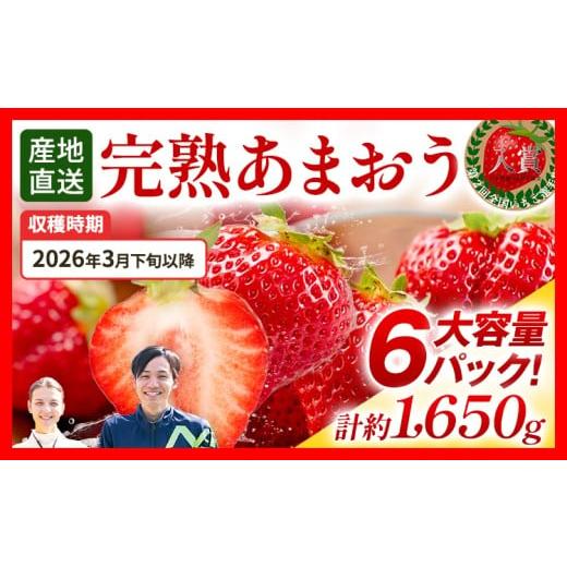 ふるさと納税 いちご 福岡県 田川市 あまおう 約1650g(約275g×6パック) 先行受付/2026年3月下旬以降順次発送予定 いちご 苺 福岡高級 フルーツ お取り寄せ…