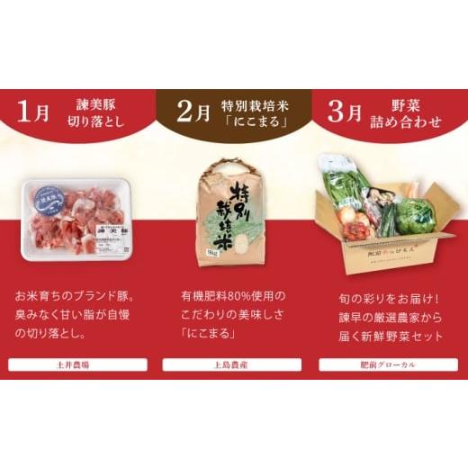 ふるさと納税 自治体にお任せ 長崎県 諫早市  諫早市市制施行20周年特別企画 12回定期便 バラエティ定期便 諫早市人気返礼品オールスター ／ 豚肉 米 野菜 ロ… |  | 04