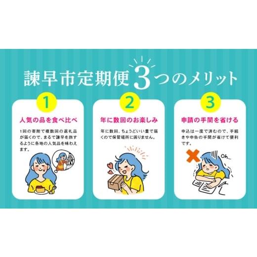 ふるさと納税 自治体にお任せ 長崎県 諫早市  諫早市市制施行20周年特別企画 12回定期便 バラエティ定期便 諫早市人気返礼品オールスター ／ 豚肉 米 野菜 ロ… |  | 08