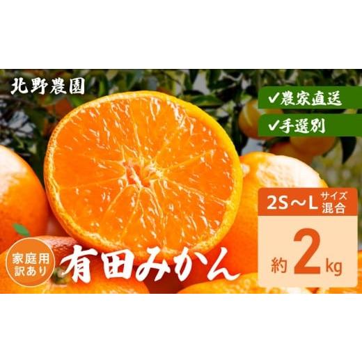 ふるさと納税 果物類 みかん 和歌山県 湯浅町 DZ6238_ 有田みかん 家庭用 訳あり サイズ 混合 おまかせ 2S 〜 L 約 2kg みかん 柑橘 フルーツ 果物 果実 果汁 …
