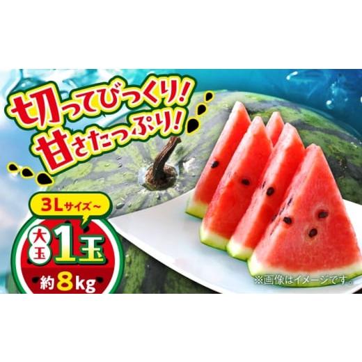 ふるさと納税 スイカ 熊本県 合志市 2026年 先行予約 数量限定 大玉すいか 3L以上 1玉入り 約8kg 日本フルーツ株式会社