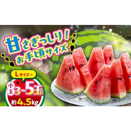 ふるさと納税 スイカ 熊本県 合志市 2026年 先行予約 数量限定 小玉すいか L以上 3〜5玉入り 約4.5kg 日本フルーツ株式会社