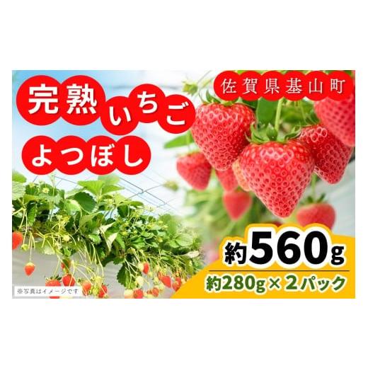 ふるさと納税 いちご 佐賀県 基山町 先行受付 2026年1月より発送 農場直送 よつぼし(約280g×2P) ふるさと納税 基山町産 いちご イチゴ 朝採れ 完熟果 K10000…