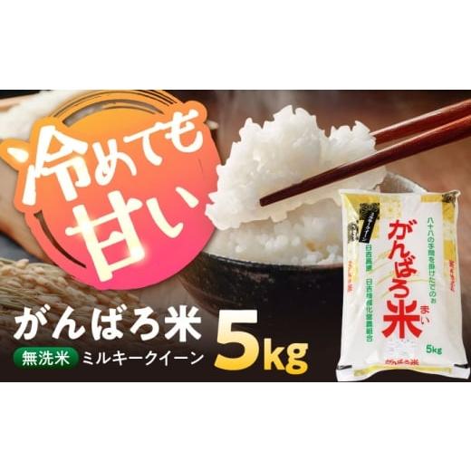 ふるさと納税 米 ミルキークイーン 岐阜県 瑞浪市 ＼お申込みは12月31日まで / 令和7年産 無洗米 岐阜県産 ミルキークイーン 5kg がんばろ米?瑞浪市 / 農事…