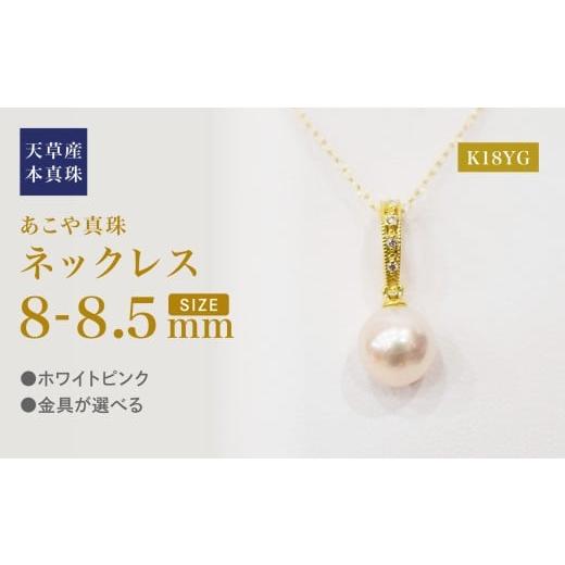 ふるさと納税 ネックレス 熊本県 天草市 S101-493_あこや真珠 天草 ネックレス ペンダント ダイヤモンド クリッカー 0.02ct 8mm - 8.5mm ホワイトピンク 真珠 …