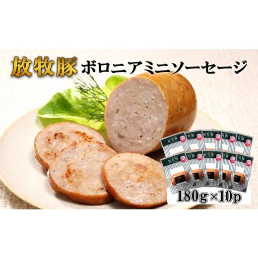 ふるさと納税 肉 ソーセージ 北海道 恵庭市 放牧豚ボロニアミニソーセージ 180g×10P | 北海道産 放牧豚 ボロニアソーセージ ボロニア ミニソーセージ ソーセ…