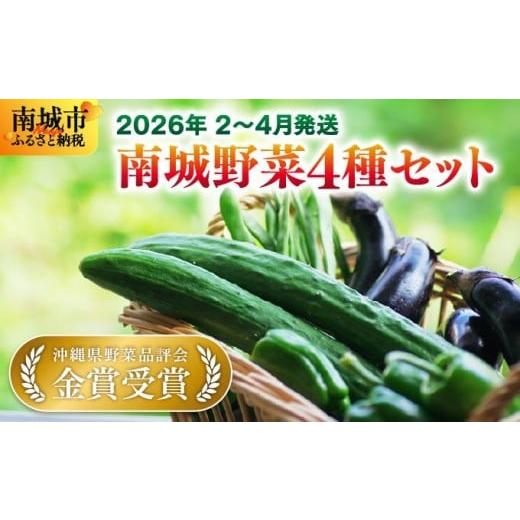 ふるさと納税 セット・詰合せ 沖縄県 南城市 先行予約 若手農家が作る南城野菜セット