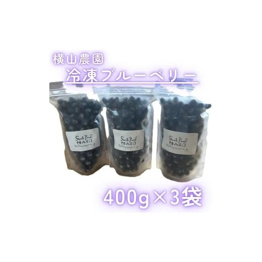 ふるさと納税 果物類 北海道 中富良野町 横山農園の冷凍ブルーベリー400g×3袋