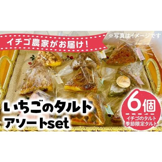 ふるさと納税 ケーキ・カステラ タルト 鹿児島県 日置市 No.1316 いちごのタルトアソートセット(6種) 国産 スイーツ ケーキ タルト デザート いちご イチゴ 苺…
