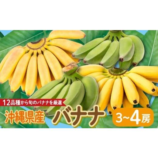 ふるさと納税 果物類 沖縄県 南城市 高原の駅なんじょうバナナ3〜4房(12品種から旬のものを詰合せ) I バナナ 詰め合わせ 旬フルーツ 果物 沖縄県 南城市