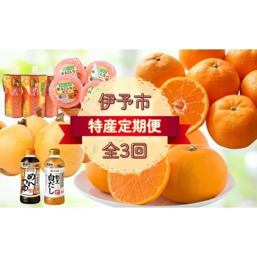 ふるさと納税 みかん・柑橘類 愛媛県 伊予市 伊予市 特産定期便 全3回(せとか・伊予市特産・ハウスみかん)|