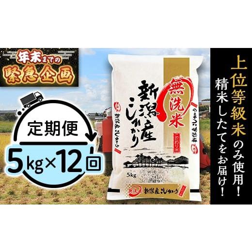 ふるさと納税 無洗米 新潟県 胎内市 31-M5ZB 2026年2月発送開始 無洗米 新潟県産コシヒカリ5kg 12ヶ月連続お届け