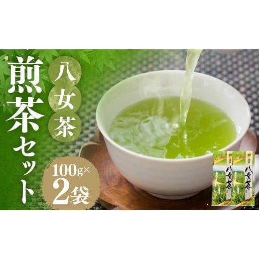 ふるさと納税 お茶類 緑茶(茶葉・ティーバッグ) 福岡県 嘉麻市 八女茶 煎茶セット 100g × 2袋 お茶 煎茶 緑茶 茶 飲み物 飲料 セット 常温 福岡県