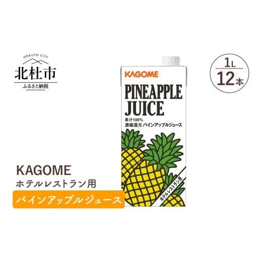 ふるさと納税 果汁飲料 山梨県 北杜市 カゴメ パインアップルジュース ホテルレストラン用 1L 紙パック 12本入 ジュース パインアップル パイナップル レスト…