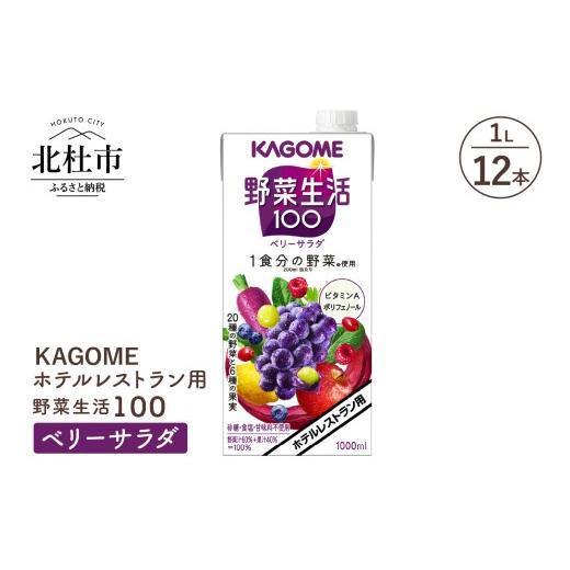 ふるさと納税 果汁飲料 やさい 山梨県 北杜市 カゴメ 野菜生活100 ベリーサラダ ホテルレストラン用 1L 紙パック 12本入 ジュース 野菜ジュース レストラン用…