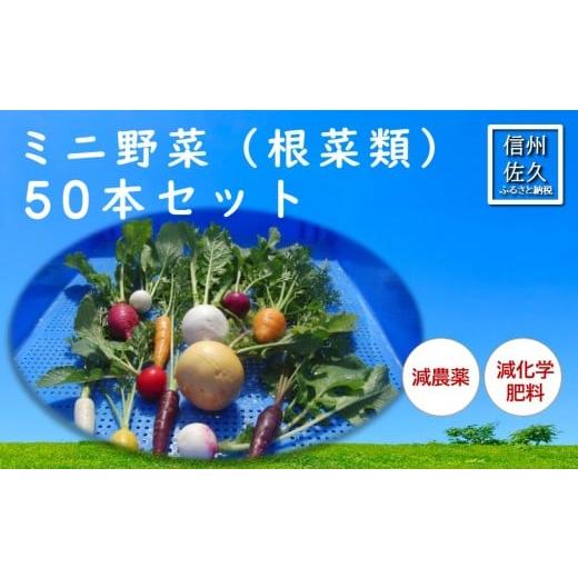 ふるさと納税 セット・詰合せ 長野県 佐久市 長野県佐久市産『ミニ野菜(根菜類)50本セット』(北海道・沖縄・離島は配送不可) 高原野菜 産地直送 新鮮 旬彩 …