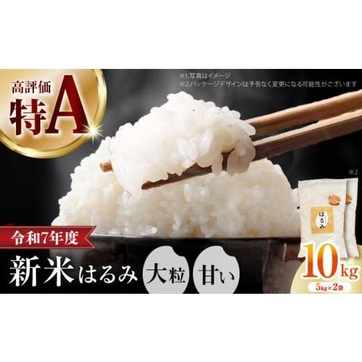 ふるさと納税 米 神奈川県 開成町 令和7年産 特Aランク受賞実績あり はるみ 10kg なんかいファーム 米 お米 精米 白米 はるみ 新米 令和7年産