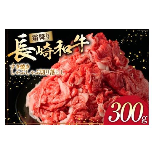 ふるさと納税 牛肉 すき焼き 長崎県 島原市 AI260 長崎和牛 すき焼き しゃぶしゃぶ 切り落とし 300g 肉 和牛 牛肉 Giverichホールディングス 長崎県 島原市