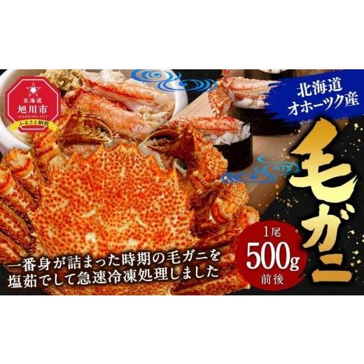ふるさと納税 カニ 毛ガニ 北海道 旭川市 12月25日〜30日到着 北海道オホーツク産 毛ガニ 1尾(500g前後)_01191 12月25日〜30日の間にお届け