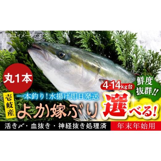 ふるさと納税 魚貝類 長崎県 壱岐市  12／20〜翌1／5お届け 壱岐島産天然寒ブリ よか嫁ぶり（5キロ台・丸もの）《壱岐市》 壱岐島 玄海屋 JBS131 5キロ台の画像
