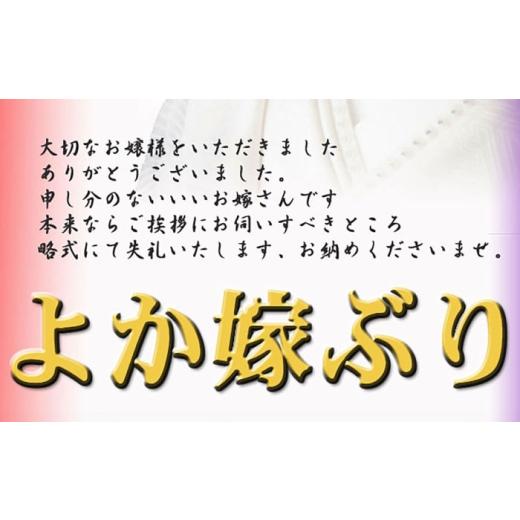 ふるさと納税 魚貝類 長崎県 壱岐市  12／20〜翌1／5お届け 壱岐島産天然寒ブリ よか嫁ぶり（5キロ台・丸もの）《壱岐市》 壱岐島 玄海屋 JBS131 5キロ台の画像