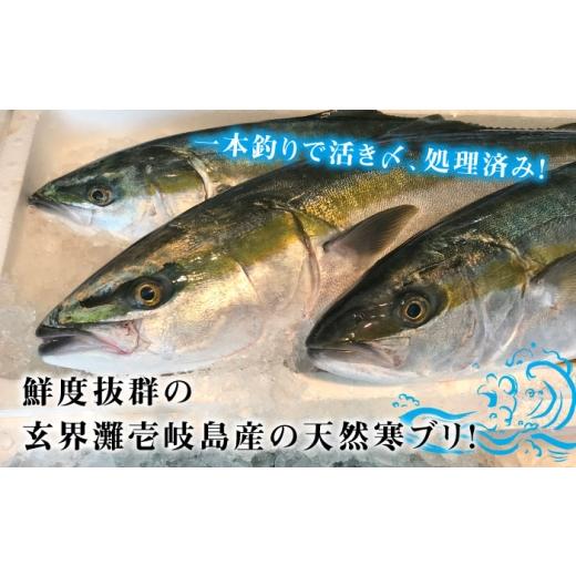 ふるさと納税 魚貝類 長崎県 壱岐市  12／20〜翌1／5お届け 壱岐島産天然寒ブリ よか嫁ぶり（5キロ台・丸もの）《壱岐市》 壱岐島 玄海屋 JBS131 5キロ台の画像