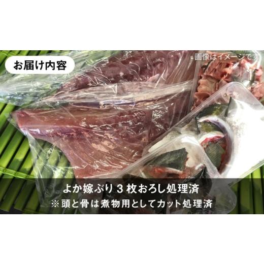 ふるさと納税 魚貝類 長崎県 壱岐市  12／20〜翌1／5お届け 壱岐島産天然寒ブリ よか嫁ぶり（5キロ台・3枚おろし）《壱岐市》 壱岐島 玄海屋 JBS142 80000 800…の画像