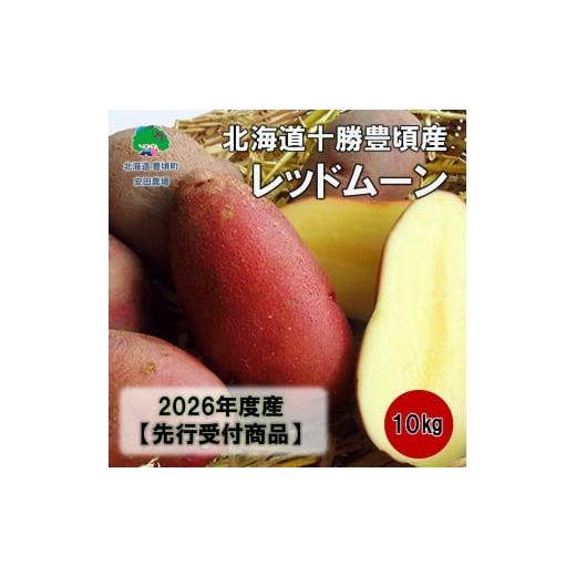 ふるさと納税 野菜類 じゃがいも 北海道 豊頃町 北海道十勝豊頃産レッドムーン約10kg 2026年秋出荷 (先行受付)[安田農場]