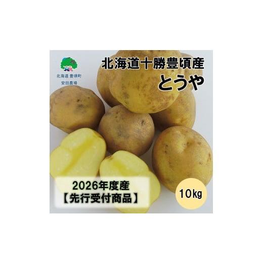 ふるさと納税 野菜類 じゃがいも 北海道 豊頃町 北海道十勝豊頃産とうや10kg 2026年秋出荷 (先行受付)[安田農場]