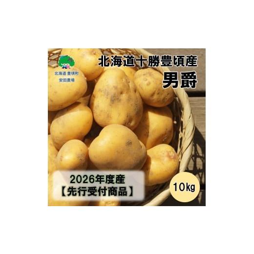 ふるさと納税 野菜類 じゃがいも 北海道 豊頃町 北海道十勝豊頃産男爵10kg 2026年秋出荷 (先行受付)[安田農場]