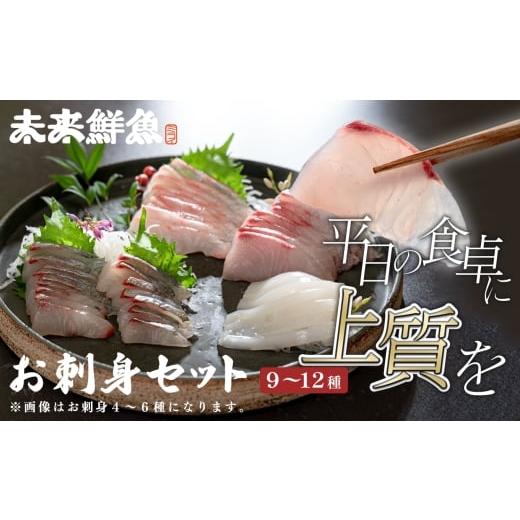 ふるさと納税 旬の鮮魚等 高知県 大月町 旬のお刺身用 柵セット 9〜12種 高知県産 刺身 盛り合わせ|食べ比べ 刺身セット 鮮度抜群 産地直送 海の幸 海鮮 魚介…