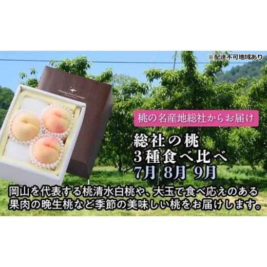 ふるさと納税 もも 岡山県 玉野市 2026年度発送 総社の桃 3種 食べ比べ 3回 お届け 定期便 (7月・8月・9月) もも モモ 岡山県産 国産 フルーツ 果物
