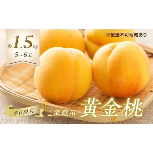 ふるさと納税 もも 岡山県 玉野市 桃 2026年 先行予約 ご家庭用 黄金桃 5〜6玉 合計約1.5kg もも モモ 岡山県産 国産 フルーツ 果物 ギフト