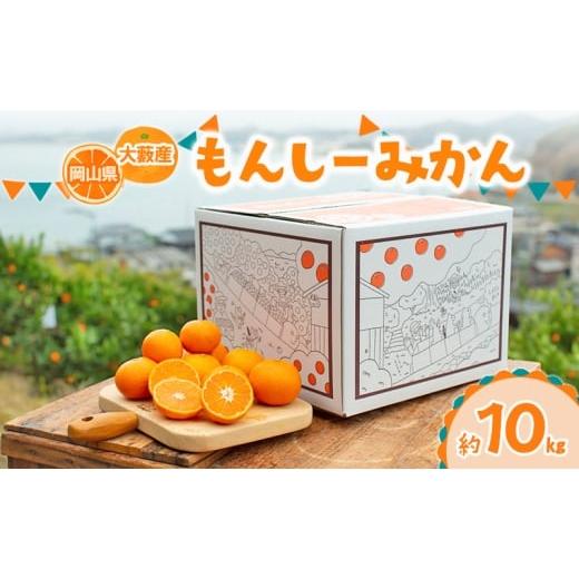 ふるさと納税 果物類 みかん 岡山県 玉野市 訳あり もんしーみかん(岡山県大藪産)約10kg 果物類 柑橘類 フルーツ お孫さん お子様 イラスト 減農薬栽培 安…