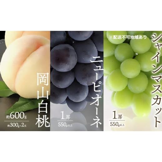 ふるさと納税 もも 岡山県 玉野市 桃 ぶどう 2026年 先行予約 白桃 2玉 合計約600g (1玉約300g) シャインマスカット 晴王 ニューピオーネ 各1房 550g以上 も…