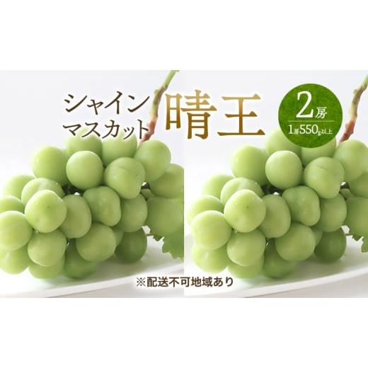 ふるさと納税 ぶどう マスカット 岡山県 玉野市 ぶどう 2026年 先行予約 シャイン マスカット 晴王 2房 (1房550g以上) マスカット ブドウ 葡萄 岡山県産 国…