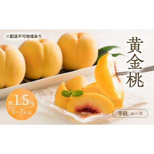 ふるさと納税 もも 岡山県 玉野市 桃 2026年 先行予約 黄金桃 等級 エース 約1.5kg 5〜7玉入り もも モモ 岡山 国産 フルーツ 果物 桃茂実苑