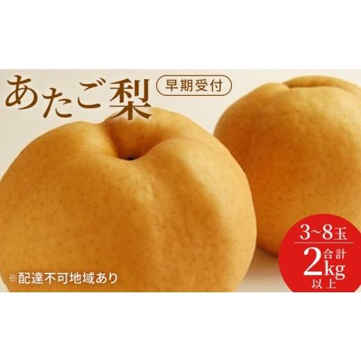 ふるさと納税 梨 岡山県 玉野市 梨 早期受付 岡山 の あたご 梨 3〜8玉 合計2kg以上 なし ナシ 岡山県産 国産 フルーツ 果物 ギフト桃茂実苑