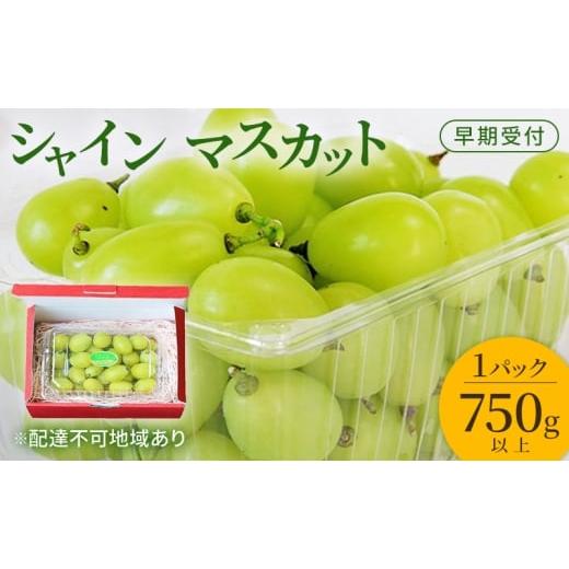 ふるさと納税 ぶどう マスカット 岡山県 玉野市 ぶどう 早期受付 シャイン マスカット 1パック(750g以上) ブドウ 葡萄 岡山県産 国産 フルーツ 果物 ギフト …