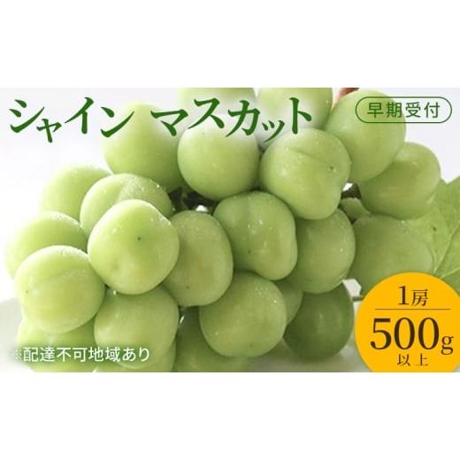 ふるさと納税 ぶどう マスカット 岡山県 玉野市 ぶどう 早期受付 シャイン マスカット 1房(500g以上) ブドウ 葡萄 岡山県産 国産 フルーツ 果物 ギフト 桃茂…