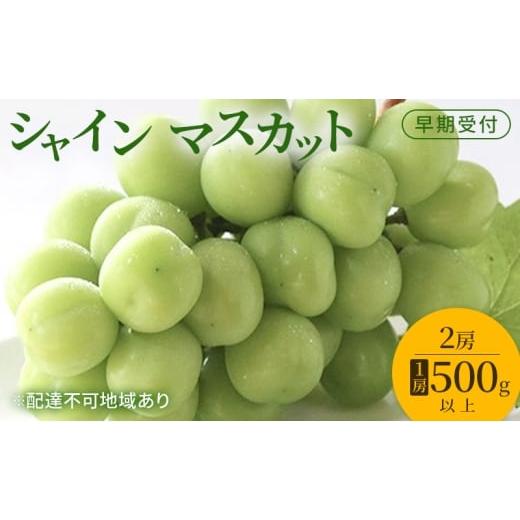 ふるさと納税 ぶどう マスカット 岡山県 玉野市 ぶどう 早期受付 シャイン マスカット 2房(1房500g以上) ブドウ 葡萄 岡山県産 国産 フルーツ 果物 ギフト …