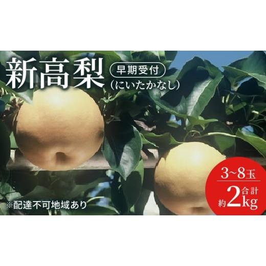 ふるさと納税 梨 岡山県 玉野市 梨 早期受付 新高 梨 (にいたかなし)3〜8玉 合計約2kgなし ナシ 岡山県産 国産 フルーツ 果物 ギフト桃茂実苑 果物類 先行予…