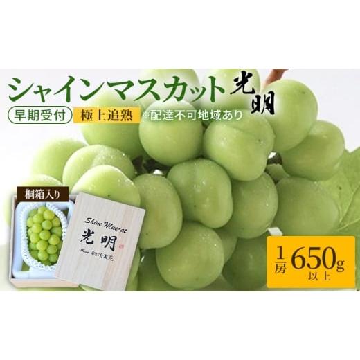 ふるさと納税 ぶどう マスカット 岡山県 玉野市 ぶどう 早期受付 極上追熟 シャイン マスカット 1房 650g以上 「光明」桐箱入り ブドウ 葡萄 岡山県産 国産 フ…