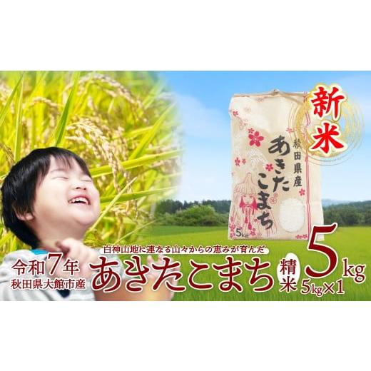 ふるさと納税 米 あきたこまち 秋田県 大館市 新米 令和7年産 あきたこまち(精米)5kg(5kg×1袋)75P9016 / 米 5kg 白米 令和7年産 秋田県産 あきたこまち お…