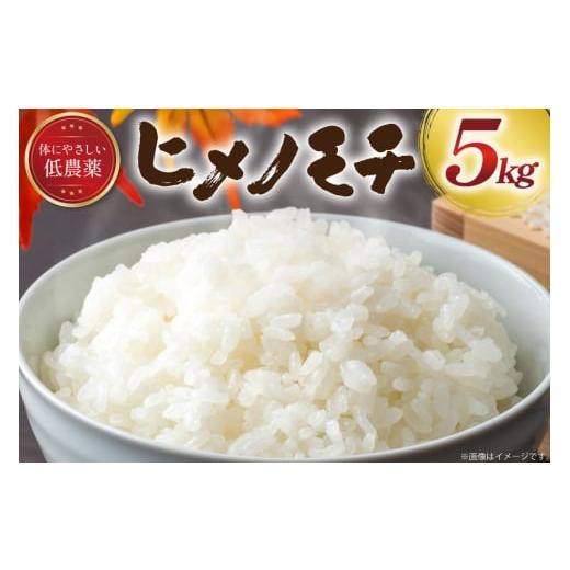 ふるさと納税 米・パン もち米 山形県 高畠町 米 令和6年産 山形県産 ヒメノモチ 白米 5kg 冨樫商店 山形県 高畠町 tk06ayt290005 もち米 こめ コメ 精米 ごは…